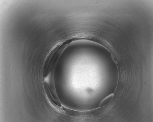 X0000054400530200508051716