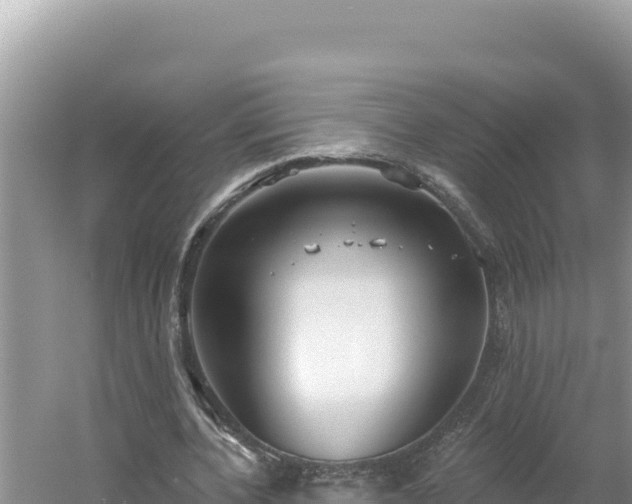 X0000054400532200508051716