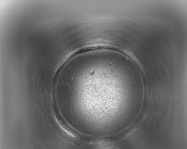 X0000054400533200508051716