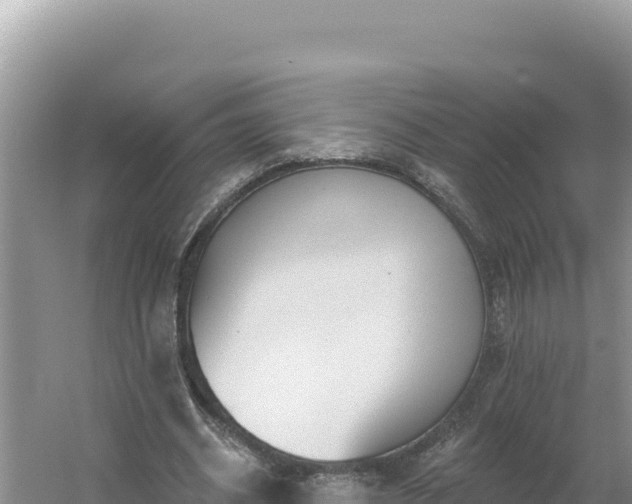 X0000054400534200508051716