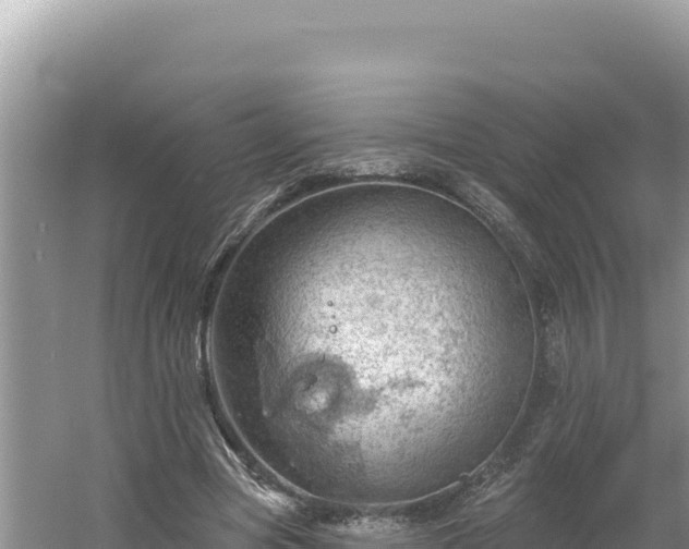 X0000054400537200508051716