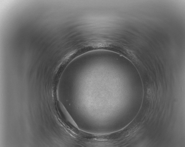 X0000054400539200508051716