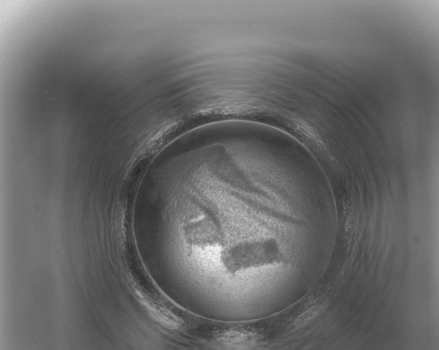 X0000054400542200508051716