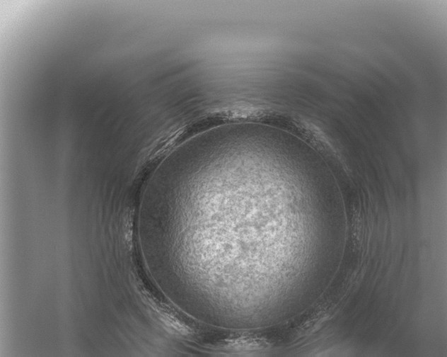 X0000054400545200508051716