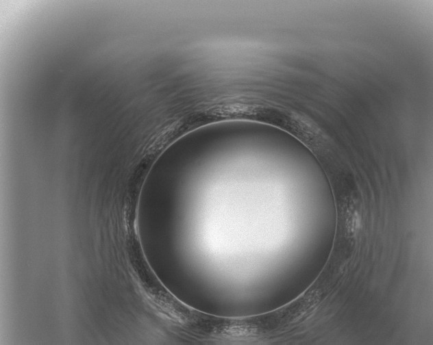 X0000054400546200508051716