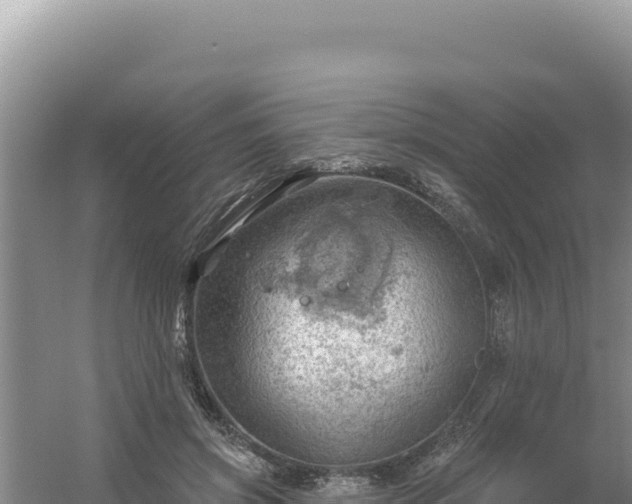 X0000054400549200508051716