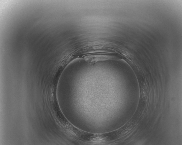 X0000054400551200508051716