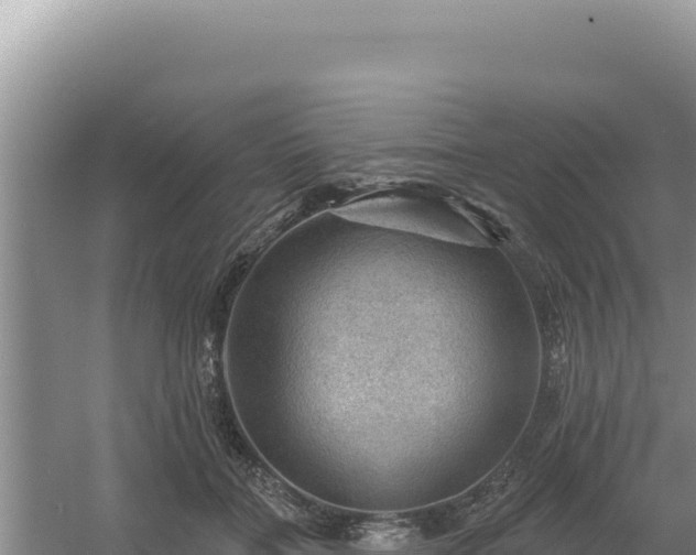 X0000054400555200508051716