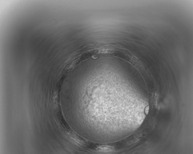 X0000054400557200508051716