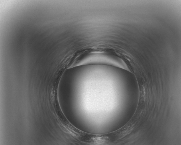 X0000054400558200508051716