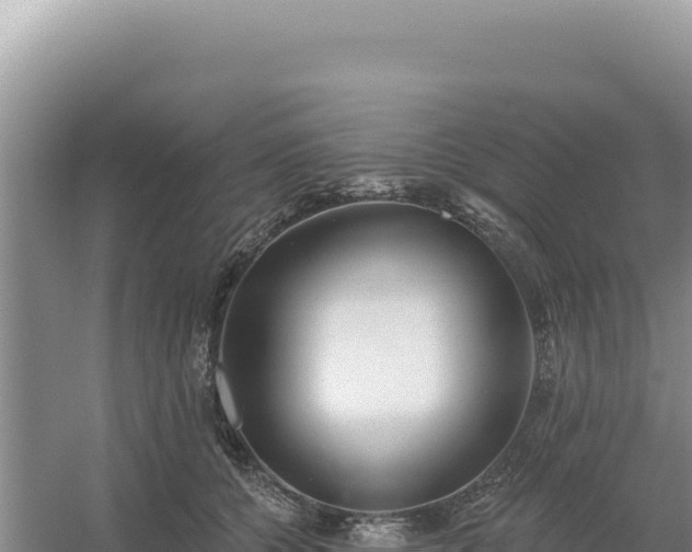 X0000054400560200508051716