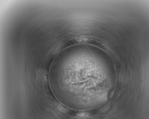 X0000054400561200508051716