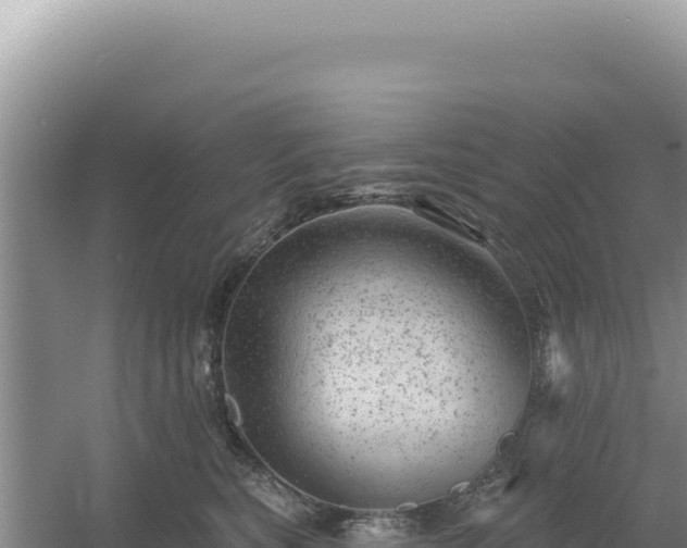 X0000054400567200508051716