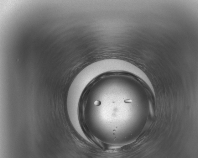 X0000054400570200508051717