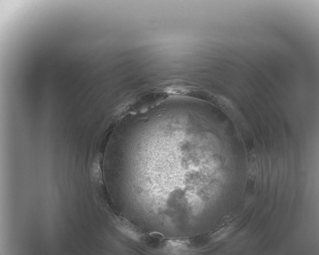 X0000054400573200508051717