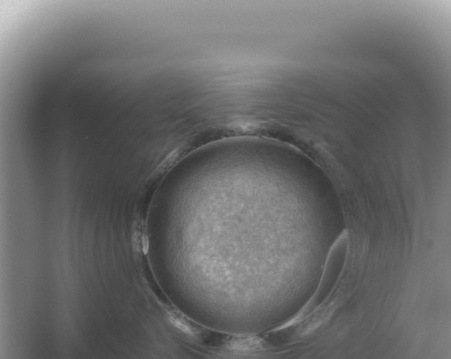 X0000054400576200508051717