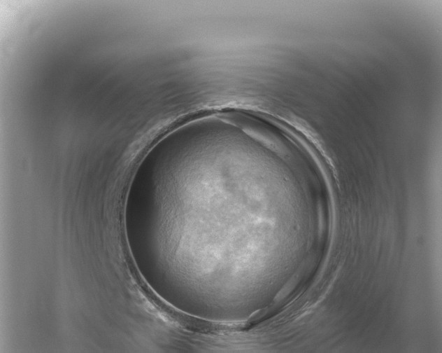 X0000054400577200508051716