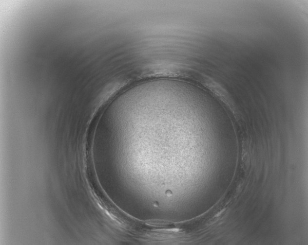 X0000054400578200508051716