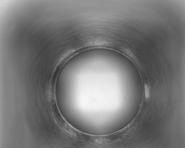 X0000054400579200508051716