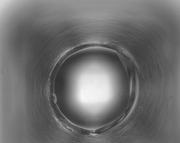 X0000054400580200508051716