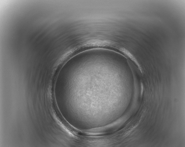 X0000054400581200508051716