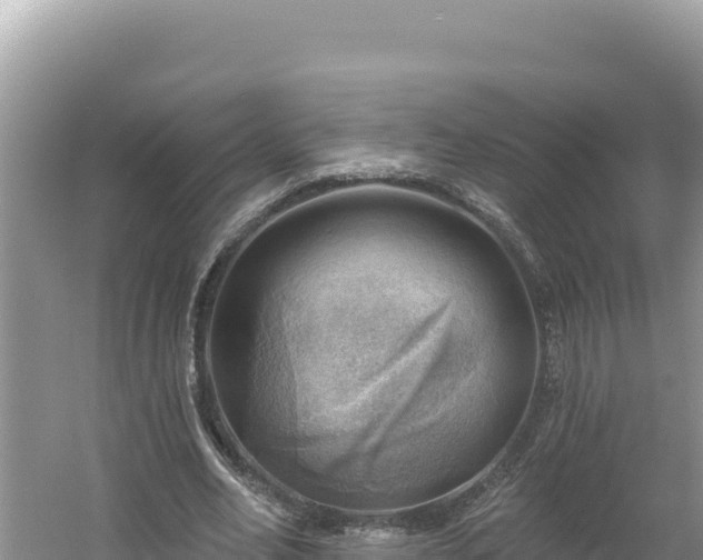 X0000054400582200508051716