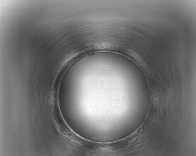 X0000054400583200508051716