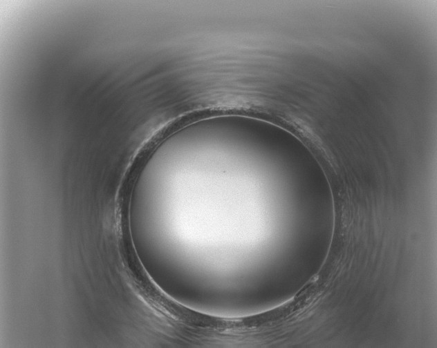 X0000054400584200508051716