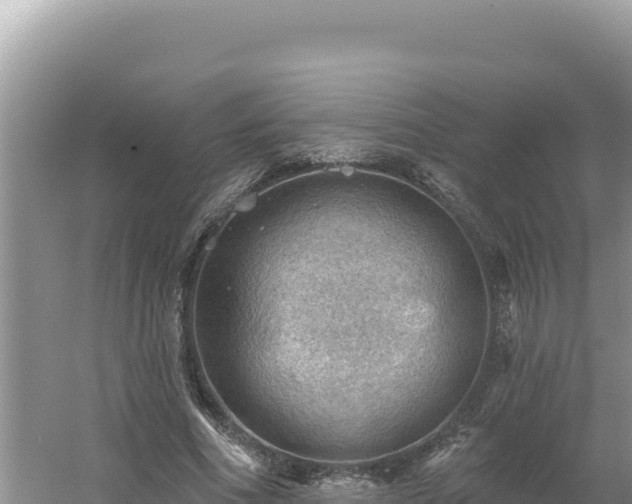 X0000054400586200508051716