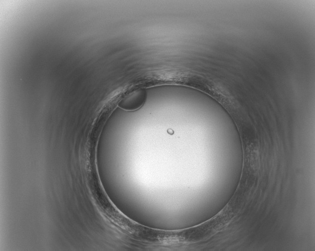 X0000054400587200508051716