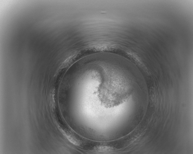 X0000054400590200508051716