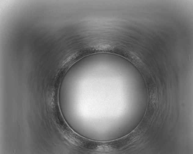 X0000054400591200508051716