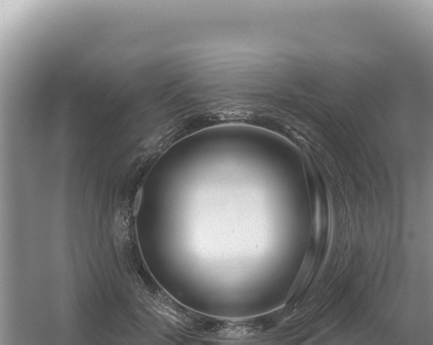 X0000054400604200508051715