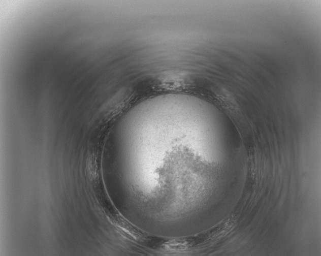 X0000054400606200508051715