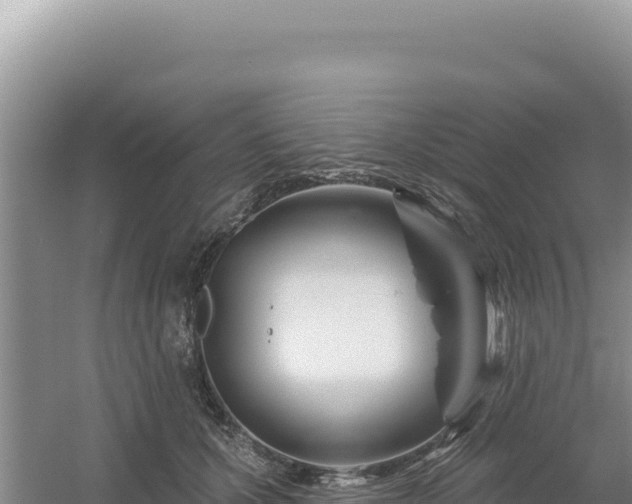 X0000054400607200508051715