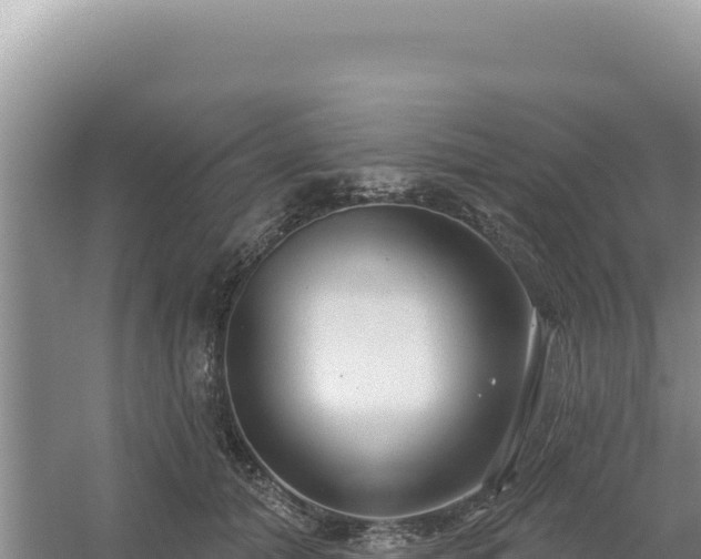 X0000054400608200508051715