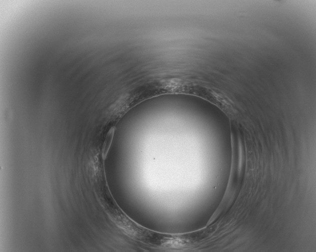 X0000054400611200508051715