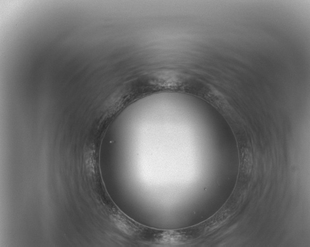 X0000054400612200508051715