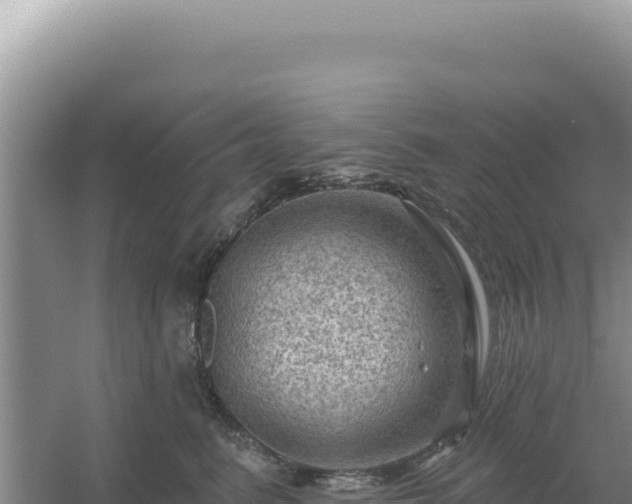 X0000054400615200508051715