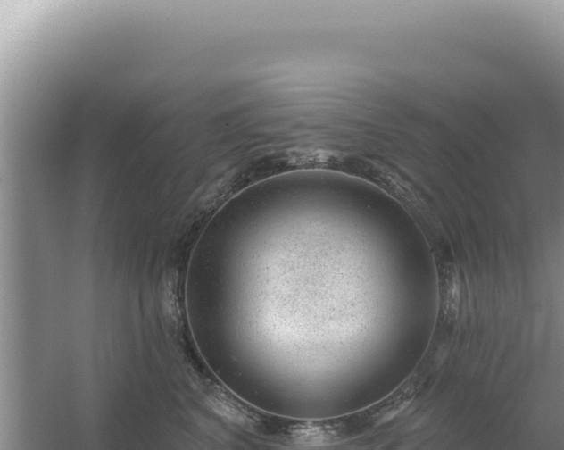 X0000054400616200508051715