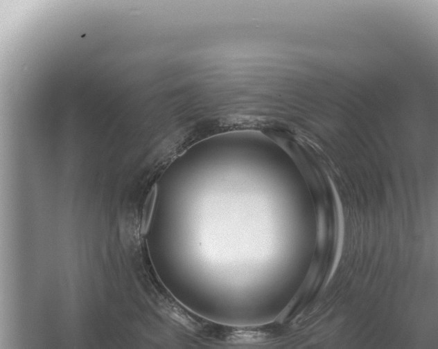 X0000054400617200508051715