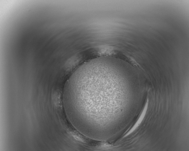 X0000054400619200508051715