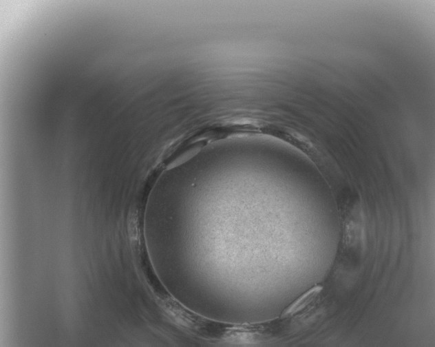 X0000054400620200508051715