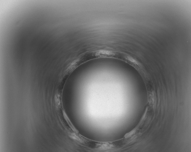 X0000054400621200508051715