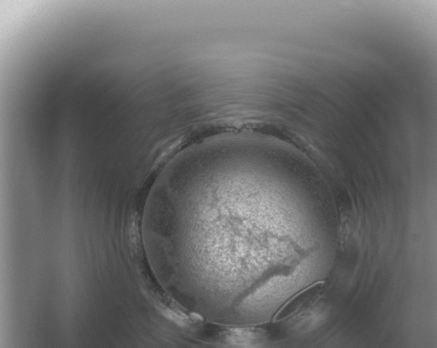 X0000054400623200508051715