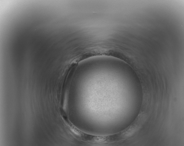 X0000054400624200508051715