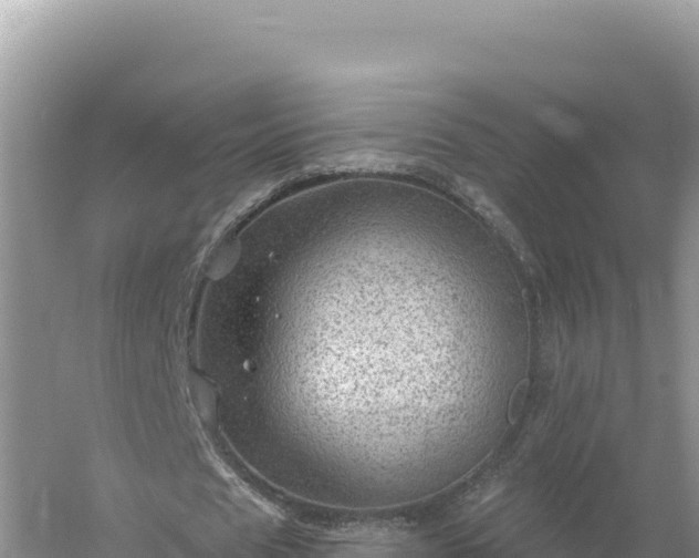 X0000054400625200508051714