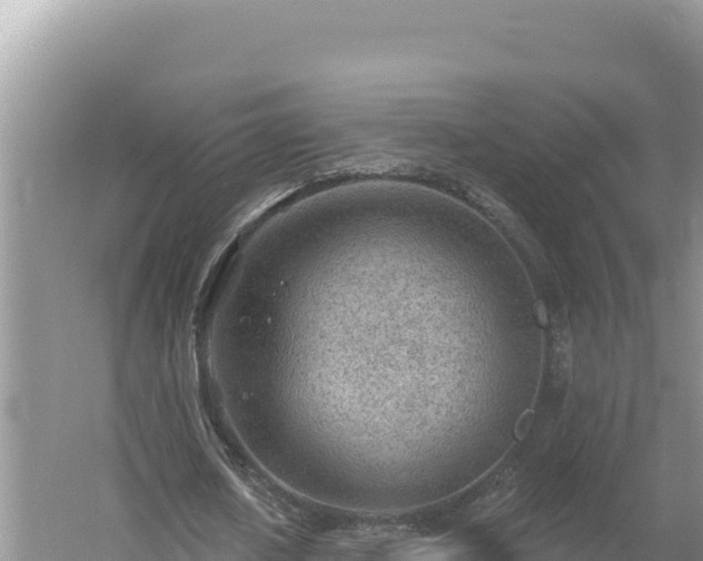 X0000054400626200508051714