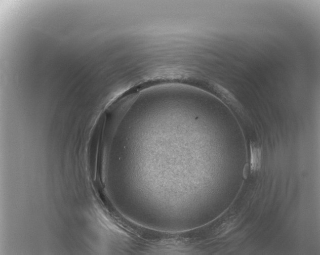 X0000054400627200508051714