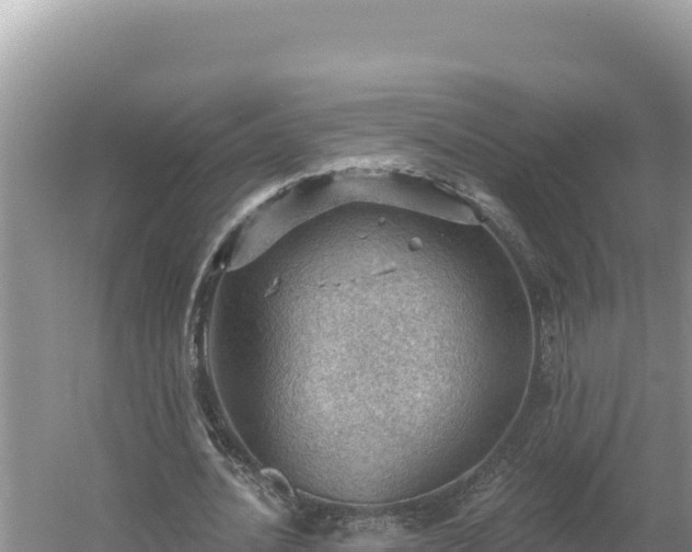 X0000054400628200508051714